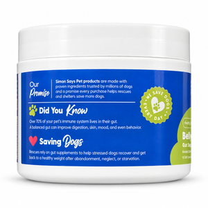 Belly Balance Gut Supplement