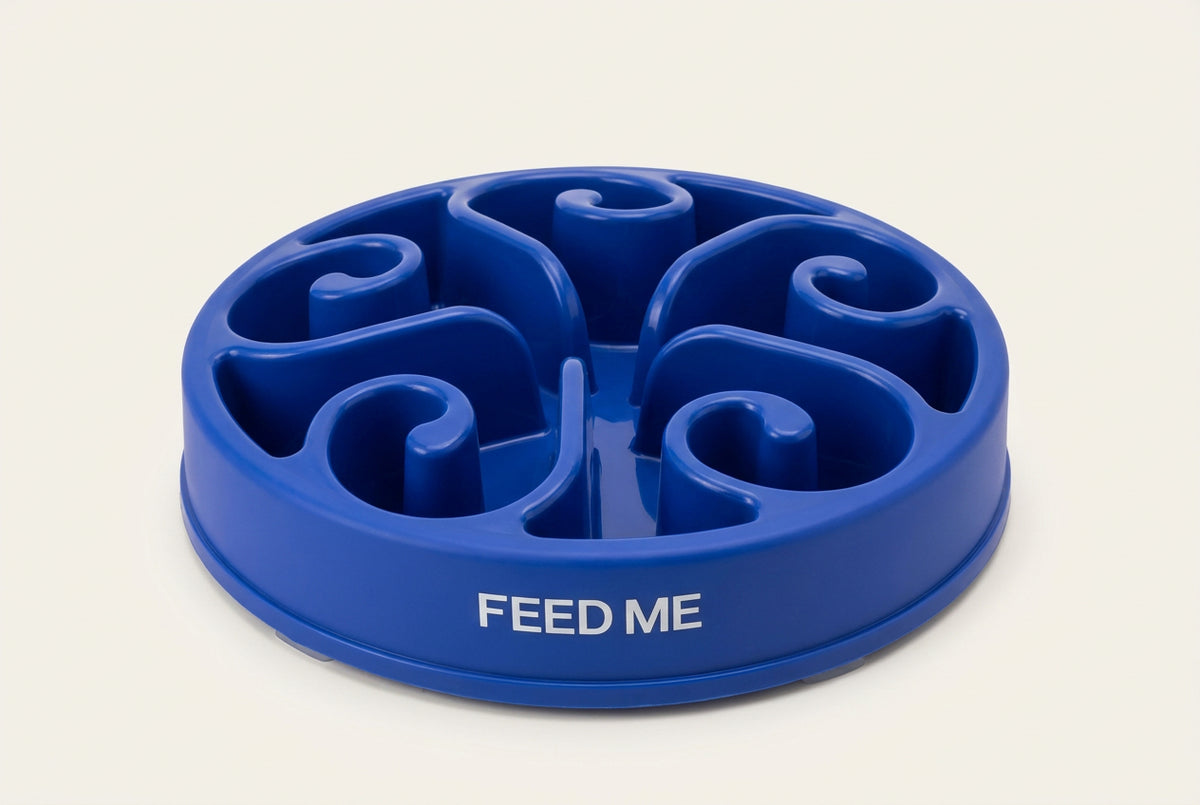 Meal Minder Slow Feed Bowl
