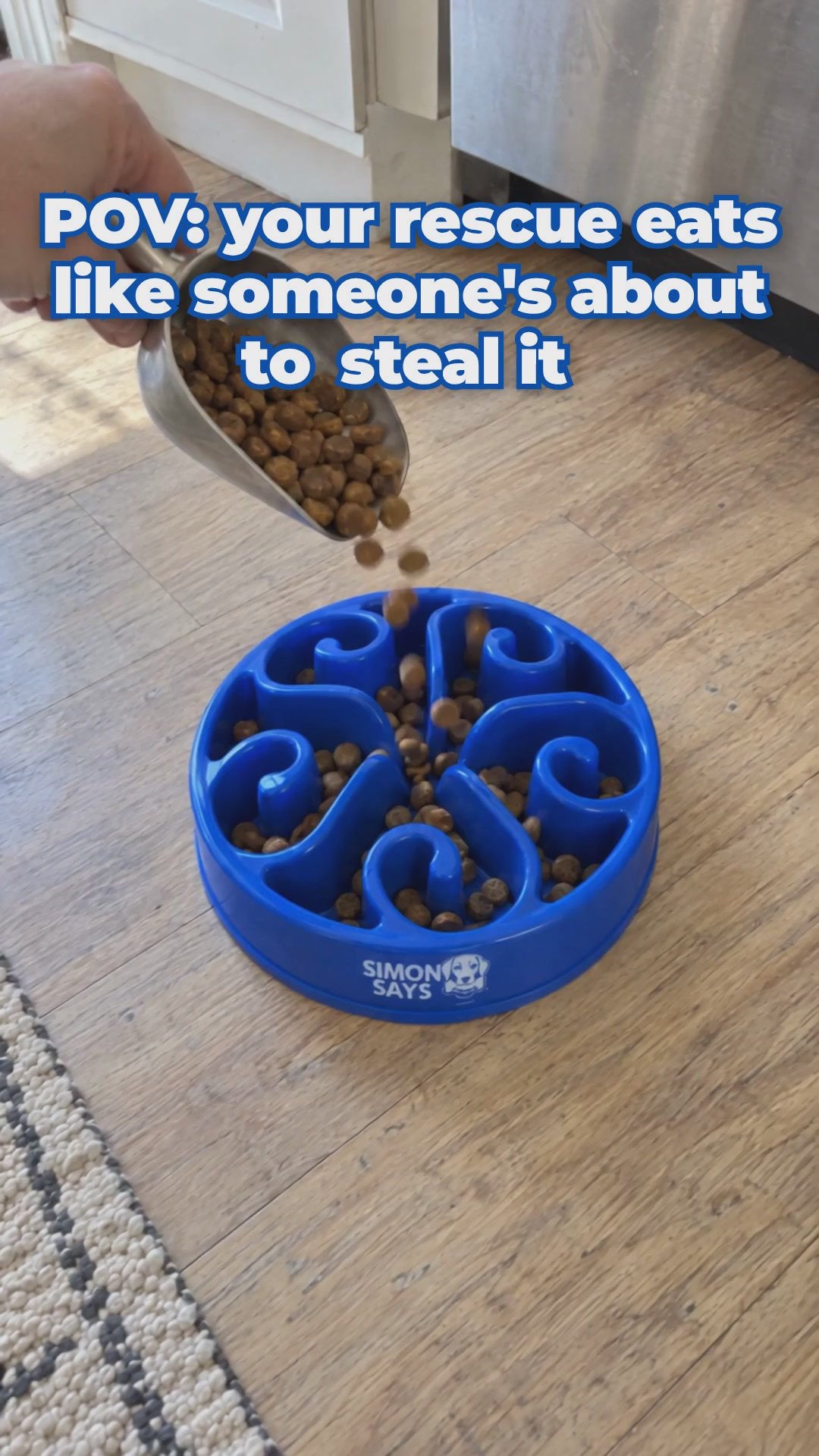 Load video: Meal Minder Slow Feed Bowl