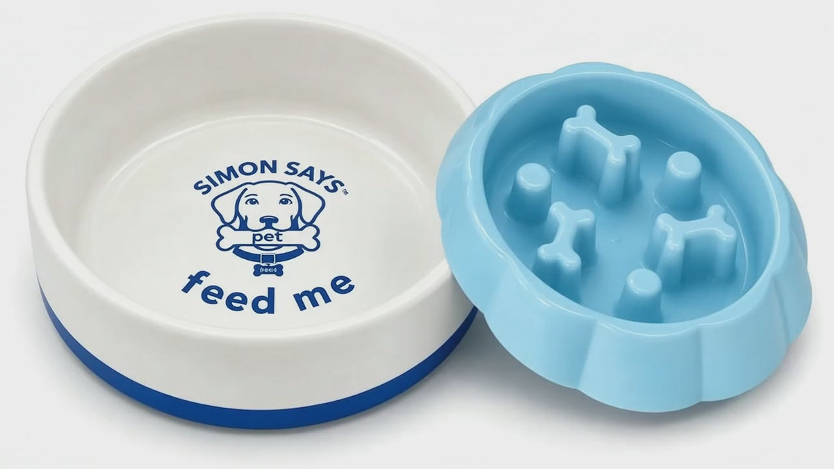 Load video: Feed Me Dual Bowl Set - Blue